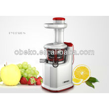 New slow juicer popular in korea